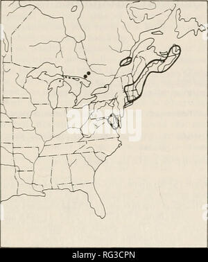 . Il campo Canadese-naturalista. 284 Il canadese Field-Naturalist Vol. 105. Fk.Ho rf I. Distribuzione di Isoetes tuckermanii. in Nord America (adattato da Kott e Britton 1983). Cerchi pieni sono nuovi record di Ontario. Un emergent durante la bassa marea sfuggente e livello acqua". Questa caratteristica è interessante come livelli dell'acqua fluttuanti sono state riportate come un meccanismo che consente la pianura costiera specie di persistere in Ontario (Keddy e Reznicek 1982; Sharp e Keddy 1985). Isoetes tuckermanii è stato segnalato la crescita in sabbia, ghiaia, fango o addirittura di torba. Isoetes tuckermanii dovrebbe essere adde Foto Stock