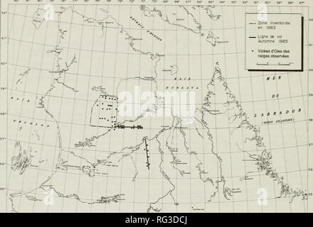 . Il campo Canadese-naturalista. Storia naturale. 410 Il Cax.dln Field-Natur.elenco Vol. 109 82* 8 â ¢ ce 67- 6S- 65- W 62- &amp;â ¢ IN MODO- 59' 56* 5"-   Ligne de vol Automne 1985. Â 'O* S9- 67' SS- 55* &amp;i' S3* 62" 6C- 58* FiGLTiE 2. Localizzazione des volees d'Oies des Neiges obsenees au Nouveau-Quebec au cours du printemps 1983 et de rauiomne 1985. zioni effectuees au sol sur des sites ou les oies avaient ete obsenees ont permis de constater I'abon- danza de fruits de Vaccinium vihs-idaea L. et de bleuets (Vaccinium sp.). Tiges Plusieurs de ces plantes avaient ete degarnies de ces f Foto Stock