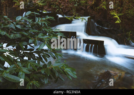 Paesaggi mozzafiato e paesaggi marini del Pacifico Nord Ovest dell isola di Bowen BC Canada vicino a Vancouver City Centre, arte della fotografia. Foto Stock