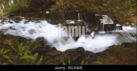 Paesaggi mozzafiato e paesaggi marini del Pacifico Nord Ovest dell isola di Bowen BC Canada vicino a Vancouver City Centre, arte della fotografia. Foto Stock