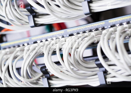 Switch di rete Gigabit con allineati i cavi patch nel data center Foto Stock