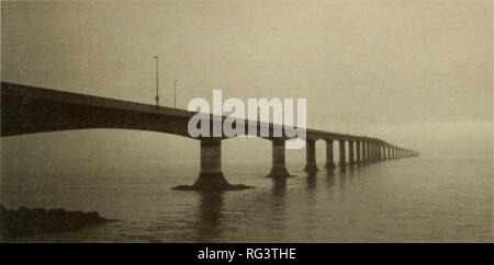 . Il campo Canadese-naturalista. Storia naturale. 2001 HiCKLiN e Bunker-Popma: migrazioni di Scoters 437. La figura 1. La Confederazione ponte attraverso il Northumberland stretto tra il New Brunswick e del Prince Edward Island. avvistato da New Brunswick erano visti volare parallelamente al ponte verso Prince Edward Island fino a quando non sono stati persi di vista e prima che potessero essere accu- rately identificati. Così, un osservatore sulla Prince Edward Island lato era necessario per contare e identi- fy tutti gli uccelli che hanno raggiunto la gamma visibile dall'isola. Questo osservatore era situato sotto il ponte a Borden Foto Stock