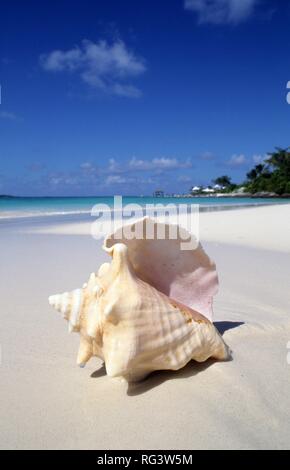 BHS, Bahamas, New Providence, Nassau: Spiaggia della Rooster Cay, la spiaggia e il tempo libero isola di fronte all isola di corallo. Stato indipendente Foto Stock