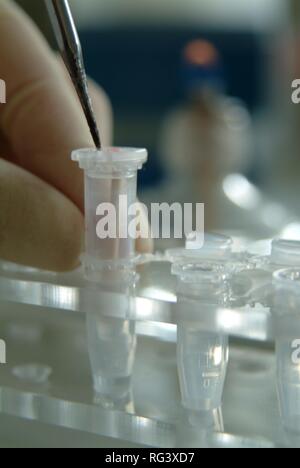 DEU, Germania, NRW: analisi del DNA. Una sigaretta è beeing preparato per l'analisi chimica del DNA. Questa sigaretta è stata trovata Foto Stock