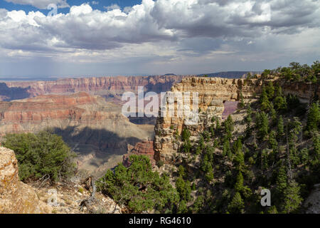 Vista verso la finestra degli Angeli arch (vedere note), Cape Royal, Grand Canyon North Rim, Arizona, Stati Uniti. Foto Stock