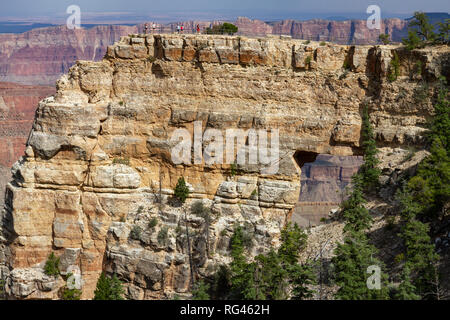 Vista verso la finestra degli Angeli arch (vedere note), Cape Royal, Grand Canyon North Rim, Arizona, Stati Uniti. Foto Stock