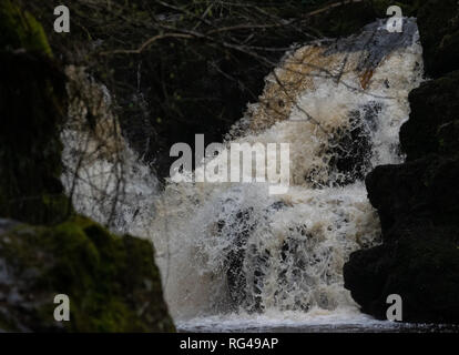 Cascata nascosta in una foresta Foto Stock