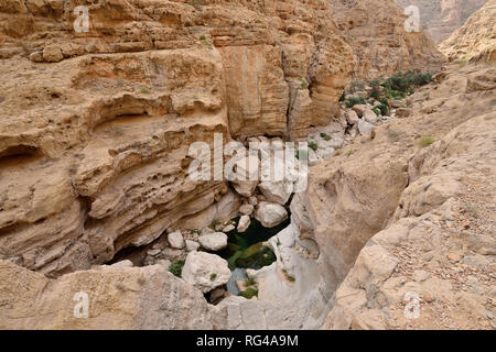 Acqua verde smeraldo sul wadi FUSC. Questa valle è una delle più incredibili in Oman Foto Stock