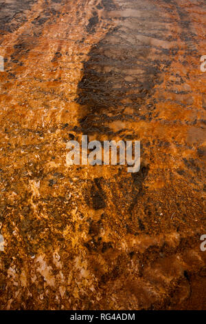 WY02996-00...WYOMING - Le nuvole riflettono nella stuoia di coloratissimi algea attorno ai lati del Grand Prismatic Spring. Foto Stock