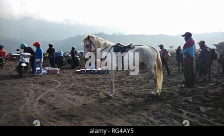 Adolescente indonesiano in bromo Tengger Semeru National Park Foto Stock