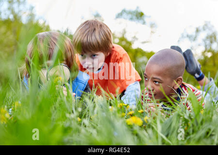 Tre bambini curiosi esploratori ed esploratori con una lente di ingrandimento nell'erba nel parco Foto Stock