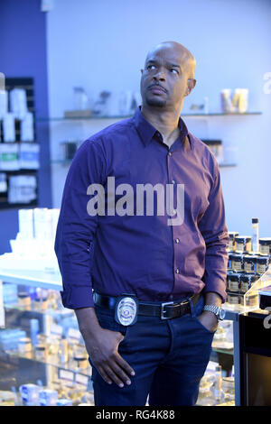 Damon Wayans, "Arma letale' Stagione 3. Photo credit: Fox Broadcasting Co. / Hollywood archivio (2019) Foto Stock