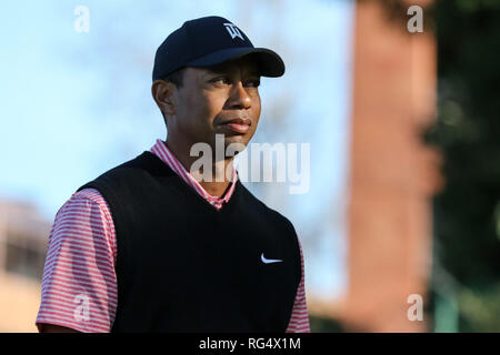 San Diego, California, Stati Uniti d'America. 27 gennaio, 2019. Tiger Woods sempre a guardare durante il round finale di agricoltori aprire al campo da Golf di Torrey Pines, in San Diego CA, il 27 gennaio 2019. Jevone Moore Credito: csm/Alamy Live News Foto Stock