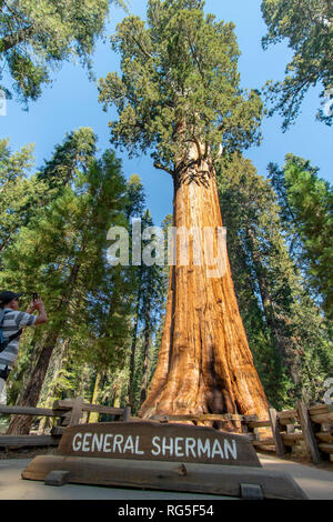 Sequioa National Park in California centrale USA in novembre Foto Stock