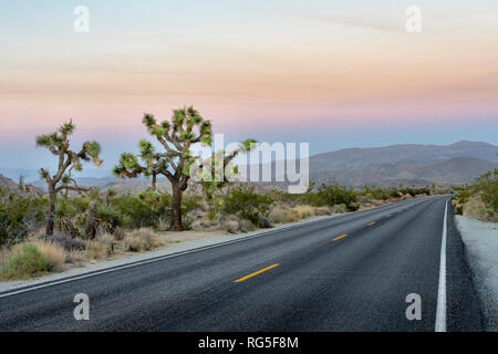 Joshua Tree National Park nel Sud Est della California nel corso del mese di novembre Foto Stock