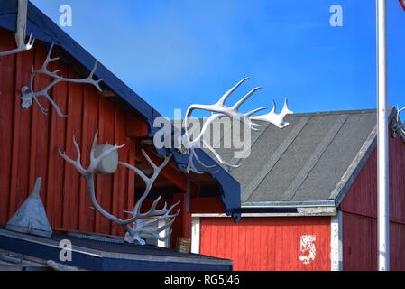 La Groenlandia, Ilulissat, Luglio, baia di Disko Kangia icebergs, Jakobshavn - palchi di renne caribù appesi al muro di una casa rossa Foto Stock