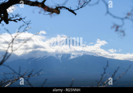 Vicino la cima della bella montagna Fuji con copertura di neve sulla parte superiore con il bianco torbido e cielo blu, il punto di riferimento del Giappone Foto Stock