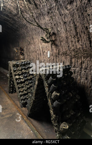 Tunnel sotterraneo con la maturazione le bottiglie di vino e di vino spumante coperti di polvere e dello stampo Foto Stock