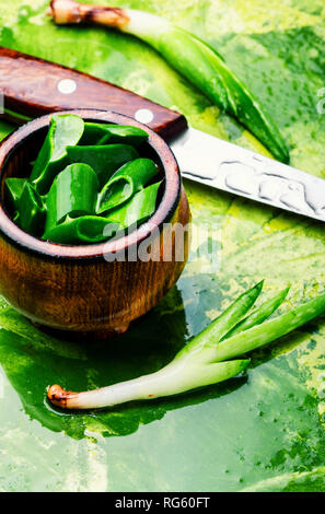 Ciotola con Fresh cut Aloe foglie.Slice aloe vera Foto Stock