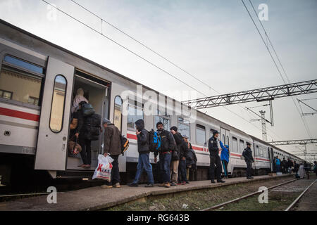 SID, SERBIA - Novembre 14, 2015: Croato poliziotti controllare i rifugiati, di salire a bordo di un treno per attraversare la Croazia Serbia frontiera a Sid il treno sta Foto Stock