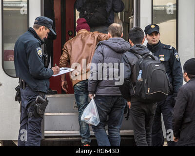 SID, SERBIA - Novembre 14, 2015: Croato poliziotti controllare i rifugiati, di salire a bordo di un treno per attraversare la Croazia Serbia frontiera a Sid il treno sta Foto Stock