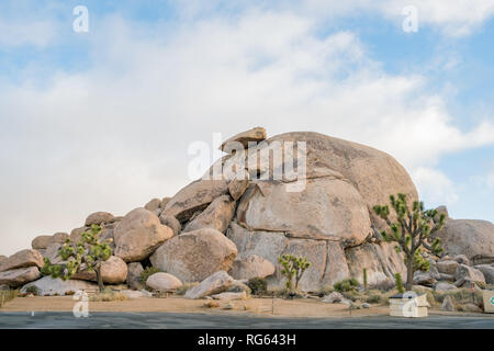 Bellissimo paesaggio con Joshua tree, montagna, rocce a Joshua Tree National Park, California Foto Stock