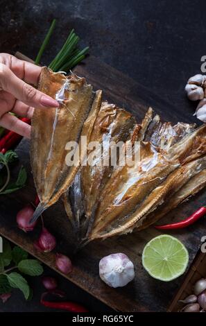 Essiccati pesci lucertola con ingredienti Foto Stock