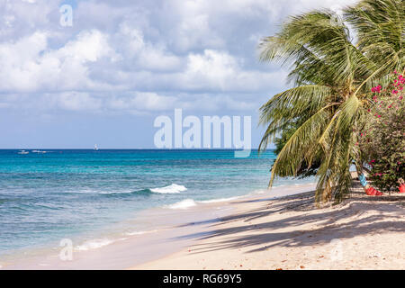 Sandy Lane beach la mattina presto, Barbados Foto Stock