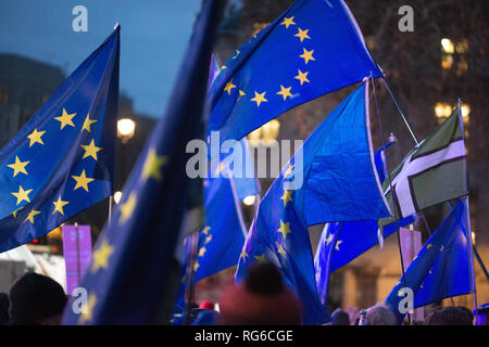 Rimangono i sostenitori con bandiere dell'UE battenti durante il voto popolare di dimostrazione sulla piazza del Parlamento, le Case del Parlamento di Londra, Regno Unito. Foto Stock