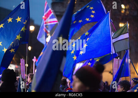 Rimangono i sostenitori con bandiere dell'UE battenti durante il voto popolare di dimostrazione sulla piazza del Parlamento, le Case del Parlamento di Londra, Regno Unito. Foto Stock