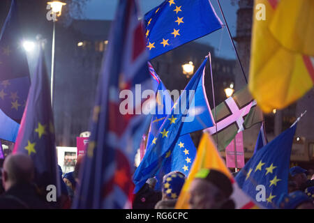 Rimangono i sostenitori con bandiere dell'UE battenti durante il voto popolare di dimostrazione sulla piazza del Parlamento, le Case del Parlamento di Londra, Regno Unito. Foto Stock