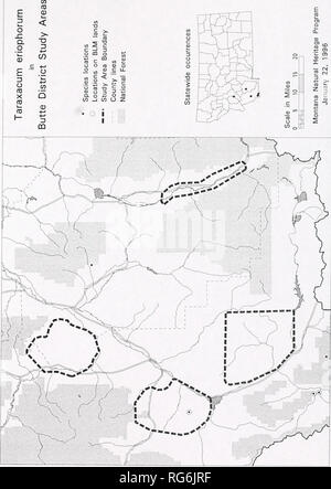 . Sensibili specie vegetali sondaggi, Butte District, Beaverhead e contee di Madison, Montana . La botanica; botanica; piante rare; piante rare. . Si prega di notare che queste immagini vengono estratte dalla pagina sottoposta a scansione di immagini che possono essere state migliorate digitalmente per la leggibilità - Colorazione e aspetto di queste illustrazioni potrebbero non perfettamente assomigliano al lavoro originale. Heidel, Bonnie L; Vanderhorst, James P; Stati Uniti. Bureau of Land Management. Butte Distretto; Montana Patrimonio Naturale Programma. Helena, MT : Montana Patrimonio Naturale Programma Foto Stock