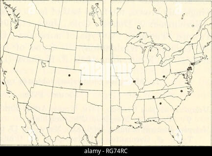 . Bollettino - Stati Uniti Museo Nazionale. La scienza. ICHNEUMON-MOSCHE DI AMERICA: 1. METOPIINAE 65 tergite, apicale di 0,3 a 0,6 del terzo tergite, dal quarto al settimo tergites tranne basally, e genitali maschili, giallo; flagello marrone rossiccio, un po' più scura verso l'apice; anteriore e facce superiori della parte anteriore e medio femori marrone chiaro; ali di luce marrone giallognolo, la metà anteriore del parafango anteriore un po' più scura. Provini: 9, Inverness, California, 28 maggio 1939, E. C. Van Dyke (San Francisco). 9, Laytonville, California, 30 maggio 1955, E. I. Schlinger (Townes). 9, Sonoma Co., California (Washington), cf, Gardnerville, Foto Stock