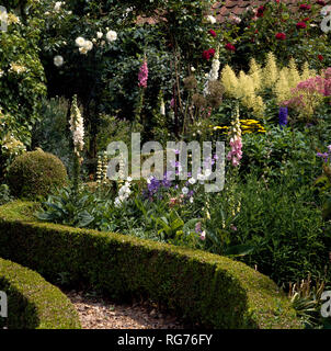 'Bassa, ritagliato siepe di bosso la bordatura di confine di foxgloves e campanula' Foto Stock