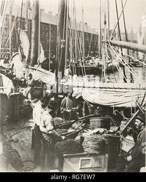 . Bollettino - Stati Uniti Museo Nazionale. La scienza. Goletta equipaggio baiting di reti a strascico a T-wharf, Boston, Massachusetts, in i88o. Dettagli di armamento può essere visto. {Smithsonian photo ^^ygo.) 214. Si prega di notare che queste immagini vengono estratte dalla pagina sottoposta a scansione di immagini che possono essere state migliorate digitalmente per la leggibilità - Colorazione e aspetto di queste illustrazioni potrebbero non perfettamente assomigliano al lavoro originale. Stati Uniti Museo Nazionale; Smithsonian Institution; Stati Uniti. Dipartimento dell'Interno. Washington : Smithsonian Institution Press, [ecc. ]; Per la vendita dalla Supt. di Docs. , Brevetto statunitense n. Foto Stock