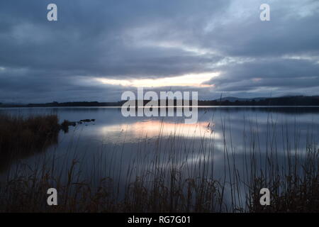 Loch di Skene, Dunecht, Westhill, Aberdeenshire, Foto Stock