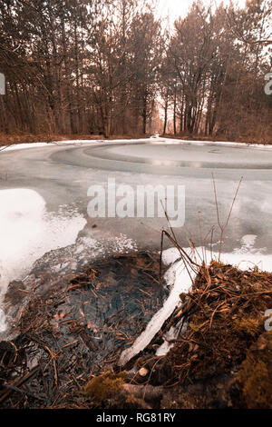 Laghetto congelato in inverno nel mezzo di una foresta Foto Stock