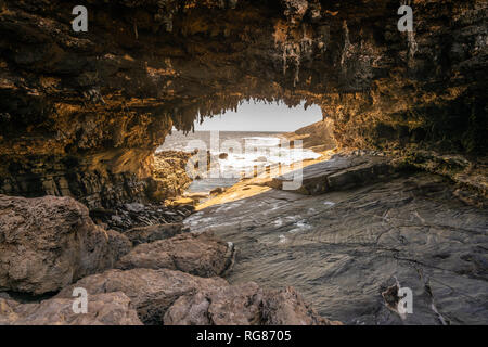 Admirals Arch vista al tramonto con arancione luce drammatica e di stalattiti sul Kangaroo Island in Australia SA Foto Stock