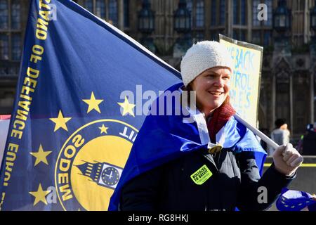 Londra, Regno Unito. Il 28 gennaio 2019. Remainers hanno protestato davanti alla sede del Parlamento.alla vigilia di una serie di voti crunch sul futuro di Brexit.Westminster, London.UK Credit: Michael melia/Alamy Live News Foto Stock