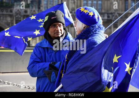 Londra, Regno Unito. Il 28 gennaio 2019. Remainers hanno protestato davanti alla sede del Parlamento.alla vigilia di una serie di voti crunch sul futuro di Brexit.Westminster, London.UK Credit: Michael melia/Alamy Live News Foto Stock