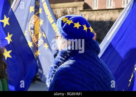Londra, Regno Unito. Il 28 gennaio 2019. Remainers hanno protestato davanti alla sede del Parlamento.alla vigilia di una serie di voti crunch sul futuro di Brexit.Westminster, London.UK Credit: Michael melia/Alamy Live News Foto Stock