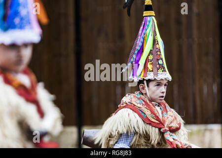 Ituren, Navarra, Spagna. 28 gen, 2019. Ragazzo vestito con ''joaldunak'' costumi durante i festeggiamenti del carnevale tradizionale in Ituren village, nel nord della Spagna. Credito: Celestino Arce Lavin/ZUMA filo/Alamy Live News Foto Stock