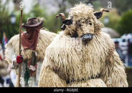 Ituren, Navarra, Spagna. 28 gen, 2019. Uomo vestito come una ram durante i festeggiamenti del carnevale tradizionale in Ituren village, nel nord della Spagna. Credito: Celestino Arce Lavin/ZUMA filo/Alamy Live News Foto Stock