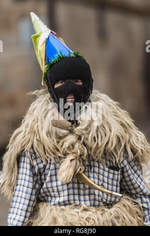 Ituren, Navarra, Spagna. 28 gen, 2019. Partecipante del tradizionale carnevale Ituren vestito come ''joaldunak'' passeggiando per le strade del villaggio. Credito: Celestino Arce Lavin/ZUMA filo/Alamy Live News Foto Stock