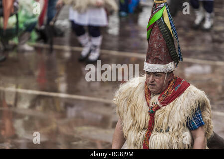 Ituren, Navarra, Spagna. 28 gen, 2019. Uomo vestito con ''joaldunak'' costumi durante i festeggiamenti del carnevale tradizionale in Ituren village, nel nord della Spagna. Credito: Celestino Arce Lavin/ZUMA filo/Alamy Live News Foto Stock