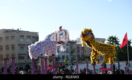 Il Marocco, Marocco. 28 gen, 2019. Gli artisti interpreti o esecutori dal cinese di Shenzhen presente Leone danza durante un evento per celebrare il prossimo Festival Cinese della Primavera in Temara, Marocco, Gennaio 28, 2019. Il Festival di Primavera cade il 5 febbraio di quest'anno. Credito: Chen Binjie/Xinhua/Alamy Live News Foto Stock