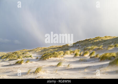 Pioggia e grandine che cade su un giorno di tempesta sulle dune, cresciuto con Beachgrass Foto Stock