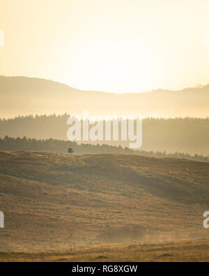 Colline rientranti nella distanza su Woodbury Common, East Devon, Sud Ovest dell'Inghilterra, Regno Unito. Foto Stock