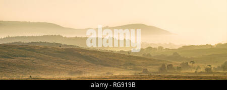 Colline rientranti nella distanza su Woodbury Common, East Devon, Sud Ovest dell'Inghilterra, Regno Unito. Foto Stock