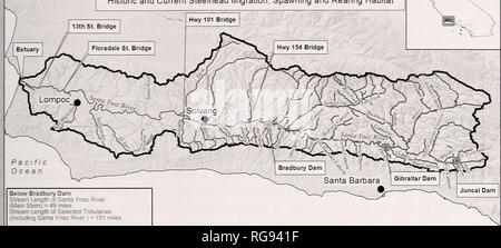 . Bollettino - il sud dell'Accademia delle Scienze della California. La scienza. La storia di STEELHEAD NELLA SANTA YNEZ spartiacque del fiume 179 Santa Ynez spartiacque del fiume Storico e attuale Steelhead migrazione, zone di deposizione delle uova e di habitat di allevamento V. Oceano Pacifico al di sotto di Bradbury Dam Lengtfi Stream di Santa Ynez Fiume (Maln gambo) = 49 miglia di lunghezza del flusso del tributario selezionati (compresi Santa Ynez'ver r i = 191 al di sopra di Bradbury Dam al di sotto di Gibilterra Dam lunghezza del flusso di Santa Ynez Fiume (Mam gambo) = 24 miglia di lunghezza del flusso di tributari selezionati (compresi Santa Ynez Fiume) = 163 miglia sopra la diga di Gibilterra sotto Juncal Dam Str Foto Stock